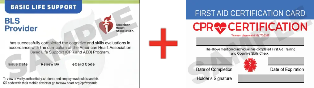 Sample American Heart Association AHA BLS CPR Card Certification and First Aid Certification Card from CPR Certification Oakland