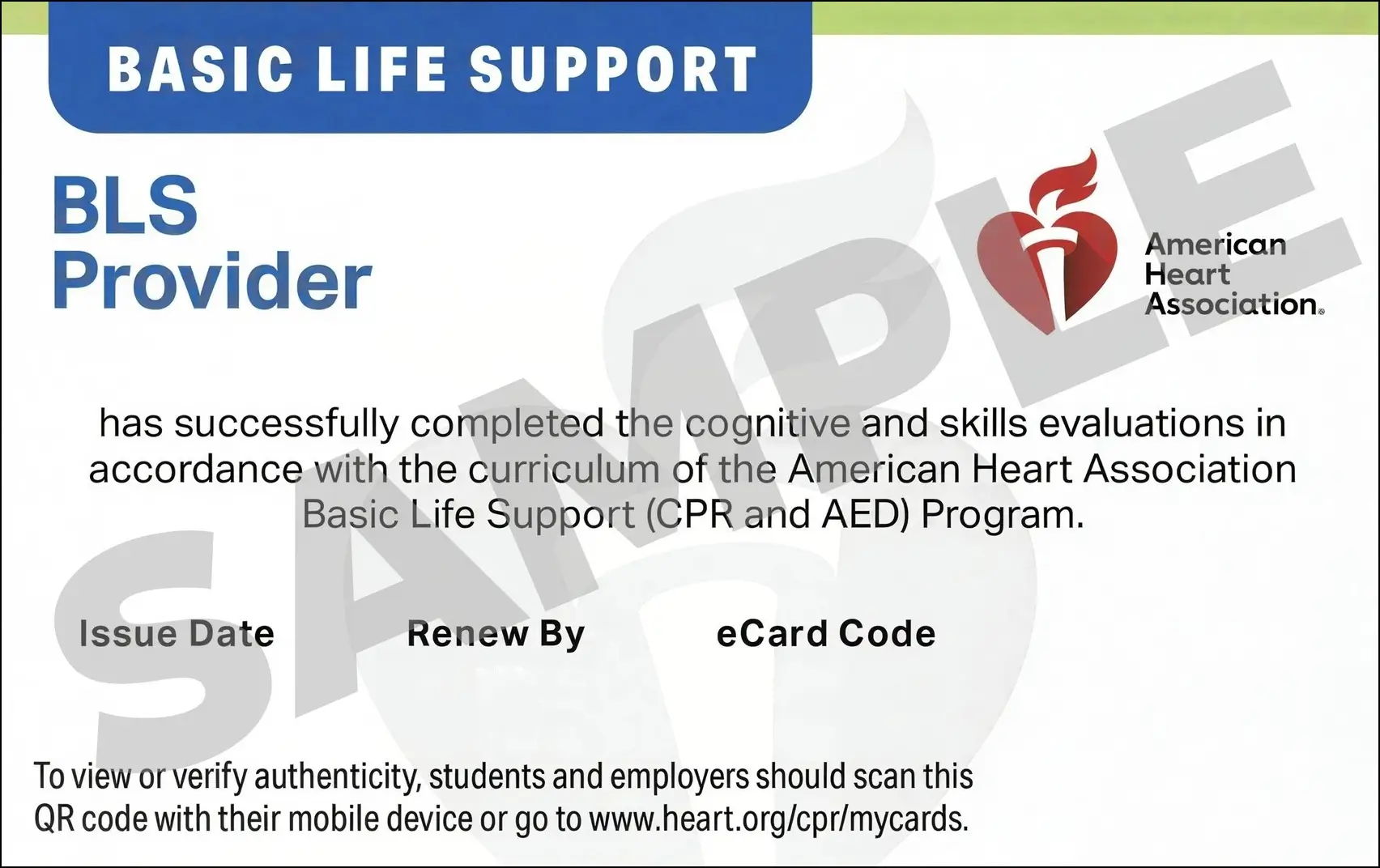 Sample American Heart Association AHA BLS CPR Card Certification from CPR Certification Oakland